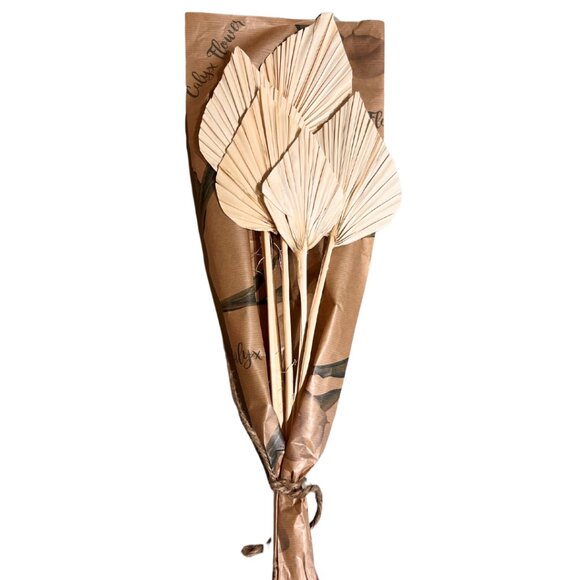 PALM SPEAR SMALL - Picture 1 of 1